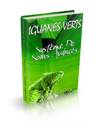 Le Guide Ultime de l'Iguane Vert