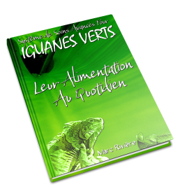Guide Alimentation de l'iguane