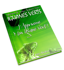 Guide Apprivoisement de l'iguane